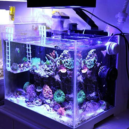 A029 AquaKnight-30Watts led Aquarium light with Touch Control, 3W/5W LED Chips for Coral Reef Nano Fish Tank Marine Tanks with Timer
