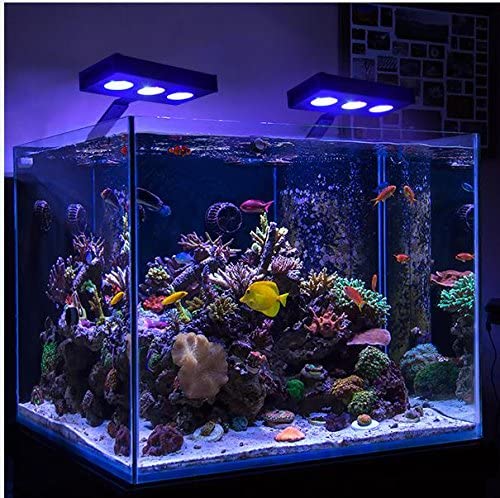 Oxigenador Acuario con Luz LED RGBW 1W IP68 - efectoLED